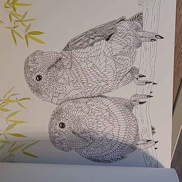 The Aviary Bird Portraits To Color, 32 pages, NEW - Picture 2 of 13